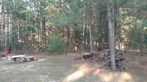 3434 S Laurel Dr, White Cloud, MI 49349 photo 11