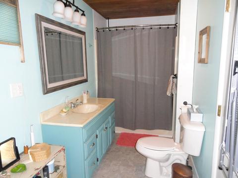 161 E Main St, Saranac, MI 48881 photo 13