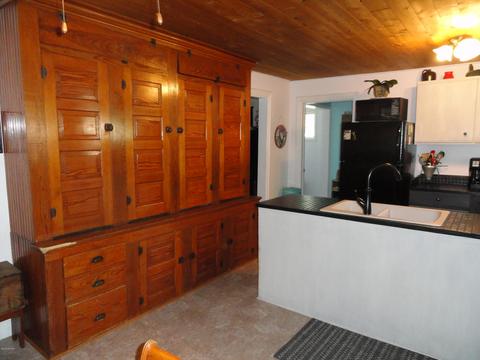 161 E Main St, Saranac, MI 48881 photo 10