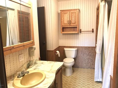 2575 Lakeside Dr, Stanton, MI 48888 photo 11