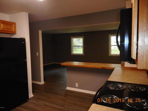 222 Bradford, Stanton, MI 48888 photo 11