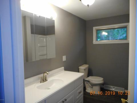 222 Bradford, Stanton, MI 48888 photo 10