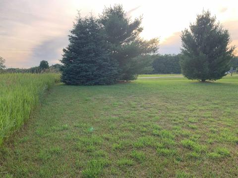 7191 S 25 Rd, Boon, MI 49618 photo 16