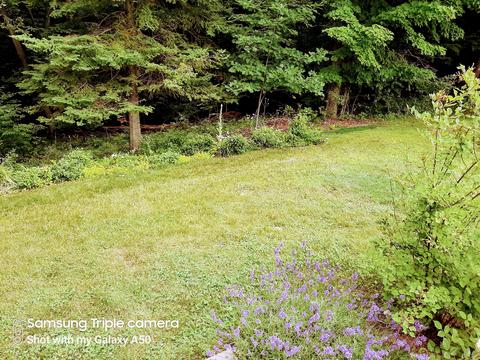 8472 Third St, Onekama, MI 49675 photo 54