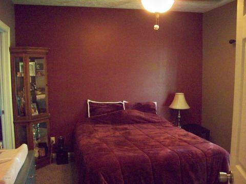 9360 W Howe Rd, Eagle, MI 48822 photo 9