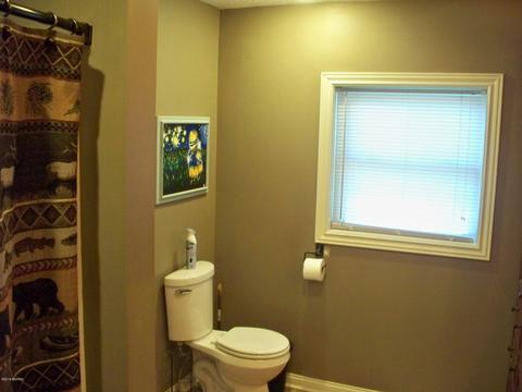 9360 W Howe Rd, Eagle, MI 48822 photo 17
