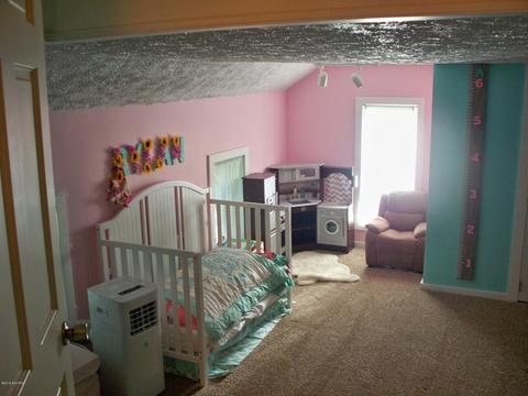 9360 W Howe Rd, Eagle, MI 48822 photo 20