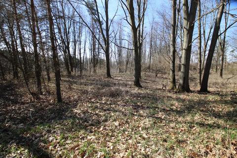 13814 E Mn Ave, Climax, MI 49034 photo 8