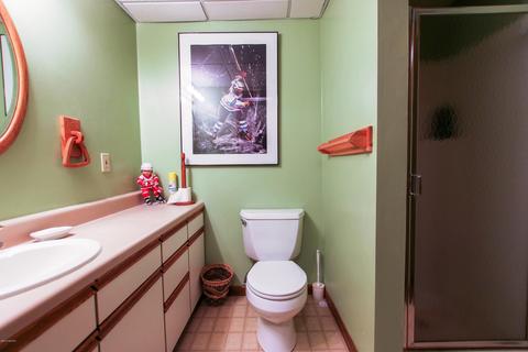 19285 Golfview Dr, Big Rapids, MI 49307 photo 34