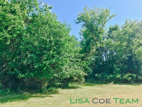518 E Main St, Saranac, MI 48881 photo 6