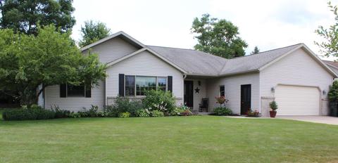 1419 Fifth St, Belding, MI 48809 photo 69