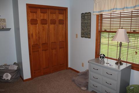 1419 Fifth St, Belding, MI 48809 photo 43