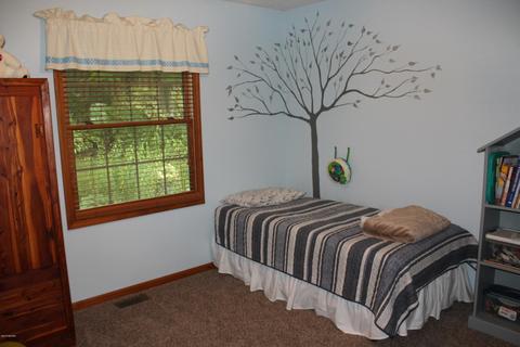1419 Fifth St, Belding, MI 48809 photo 42