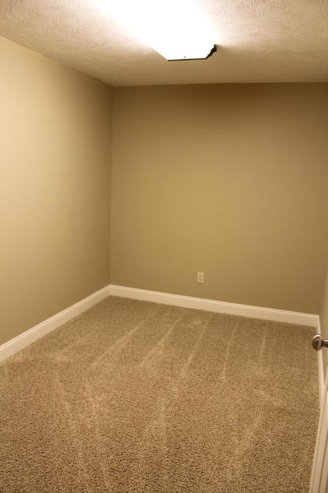 1419 Fifth St, Belding, MI 48809 photo 59