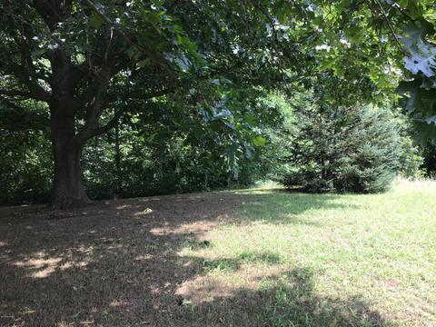 1025 110th Ave, Plainwell, MI 49080 photo 24
