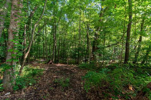 1489 E Galien-buchanan Rd, Buchanan, MI 49107 photo 33