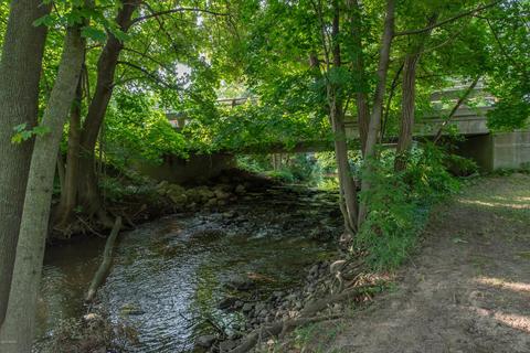 41 Summit St, Saranac, MI 48881 photo 11