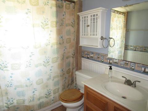 158 Walnut St, Coldwater, MI 49036 photo 16