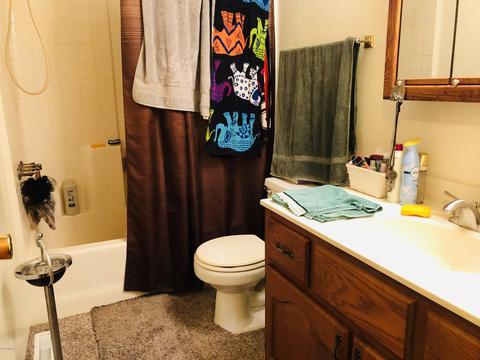 24589 Flach Rd, Mendon, MI 49072 photo 29
