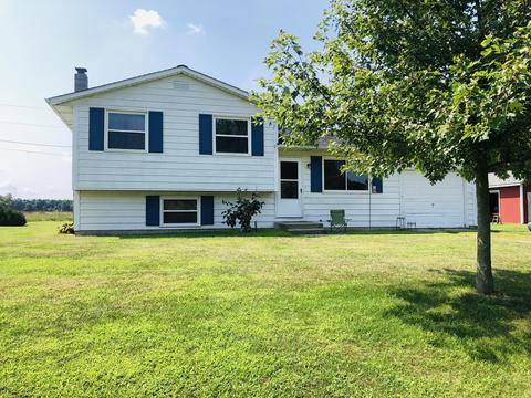 24589 Flach Rd, Mendon, MI 49072 photo 1
