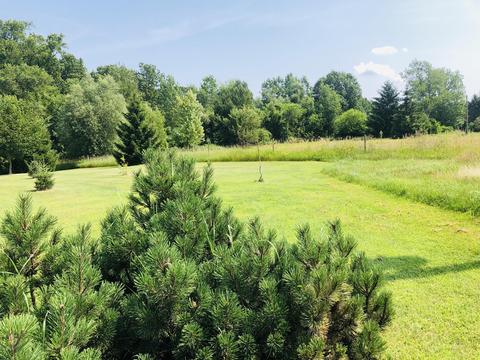 24589 Flach Rd, Mendon, MI 49072 photo 14