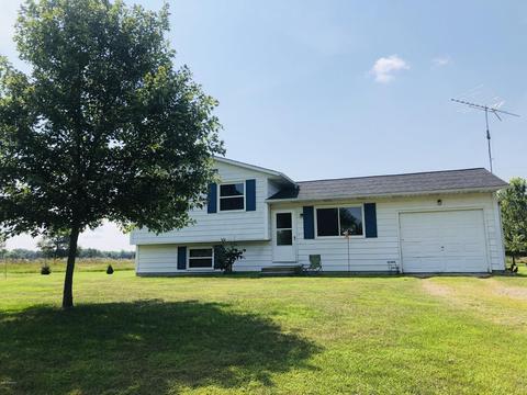 24589 Flach Rd, Mendon, MI 49072 photo 4