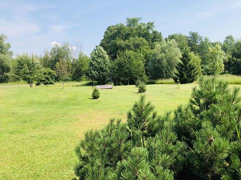 24589 Flach Rd, Mendon, MI 49072 photo 15