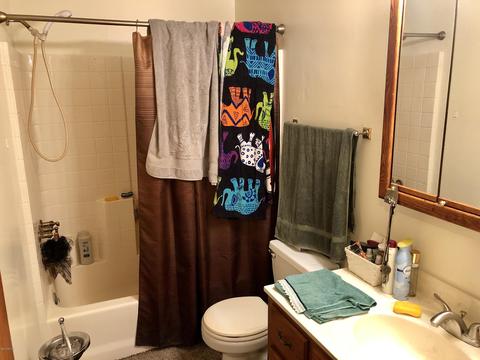 24589 Flach Rd, Mendon, MI 49072 photo 28
