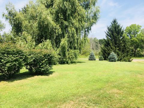 24589 Flach Rd, Mendon, MI 49072 photo 18