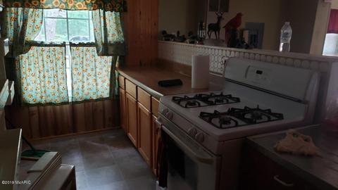 9719 S Briar Ave, Baldwin, MI 49304 photo 13