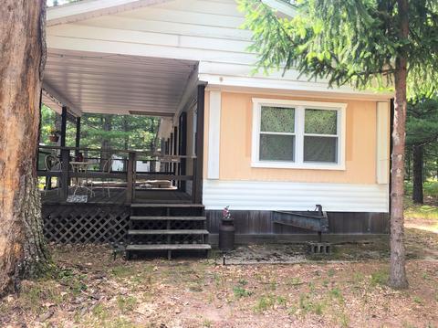 9093 S Lost Pne, Baldwin, MI 49304 photo 4