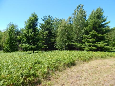 2050 N Lamb Rd, Interlochen, MI 49643 photo 11