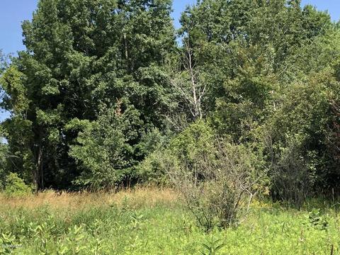 4701 Carlsen Rd, Stanton, MI 48888 photo 28