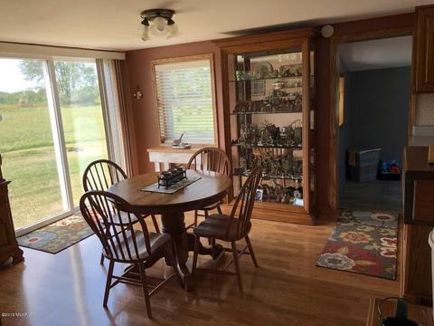 4701 Carlsen Rd, Stanton, MI 48888 photo 12
