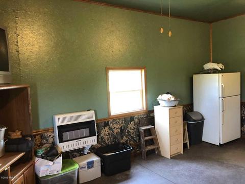 4701 Carlsen Rd, Stanton, MI 48888 photo 24