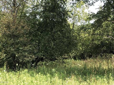 4701 Carlsen Rd, Stanton, MI 48888 photo 26