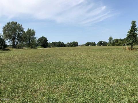 4701 Carlsen Rd, Stanton, MI 48888 photo 30