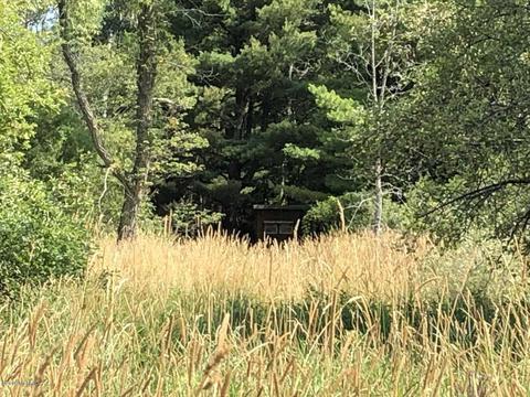 4701 Carlsen Rd, Stanton, MI 48888 photo 29