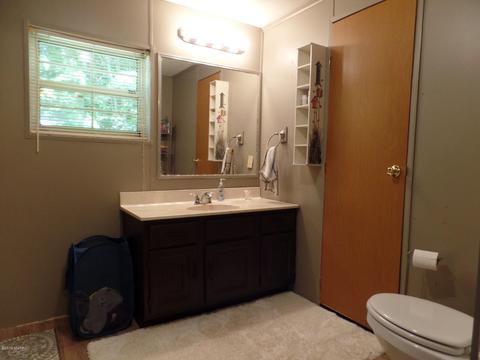 6405 E Cutler Rd, Edmore, MI 48829 photo 11
