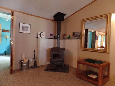 6405 E Cutler Rd, Edmore, MI 48829 photo 7