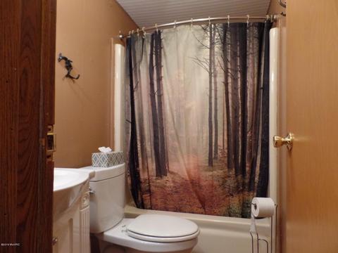 6405 E Cutler Rd, Edmore, MI 48829 photo 15