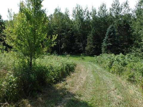 6405 E Cutler Rd, Edmore, MI 48829 photo 21