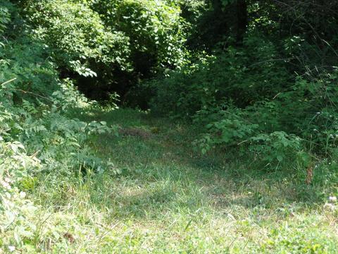 6405 E Cutler Rd, Edmore, MI 48829 photo 22