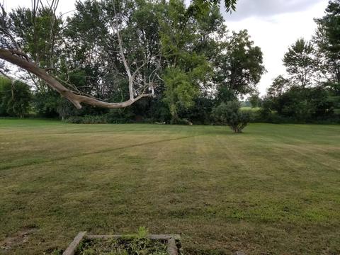 207 W Clark St, Jackson, MI 49203 photo 9