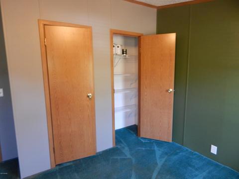 11065 Walnut Ave, Grant, MI 49327 photo 43