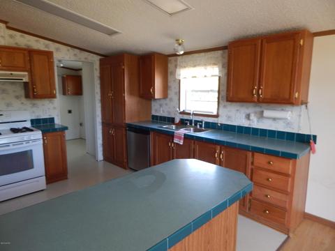 11065 Walnut Ave, Grant, MI 49327 photo 50