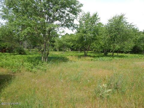 11065 Walnut Ave, Grant, MI 49327 photo 20
