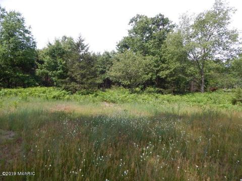 11065 Walnut Ave, Grant, MI 49327 photo 19