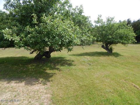 11065 Walnut Ave, Grant, MI 49327 photo 22