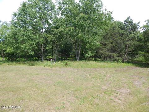 11065 Walnut Ave, Grant, MI 49327 photo 23